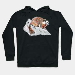 Goffer overseer Hoodie